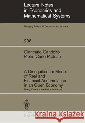 A Disequilibrium Model of Real and Financial Accumulation in an Open Economy: Theory, Evidence, and Policy Simulations