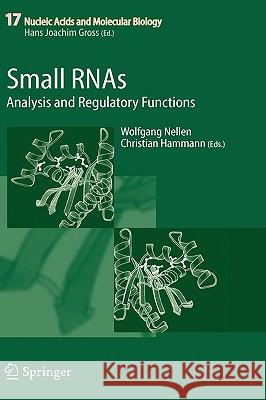 Small RNAs:: Analysis and Regulatory Functions