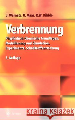 Verbrennung: Physikalisch-Chemische Grundlagen, Modellierung Und Simulation, Experimente, Schadstoffentstehung
