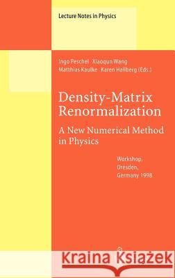 Density-Matrix Renormalization - A New Numerical Method in Physics: Lectures of a Seminar and Workshop held at the Max-Planck-Institut für Physik komplexer Systeme, Dresden, Germany, August 24th to Se