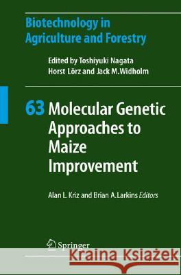 Molecular Genetic Approaches to Maize Improvement