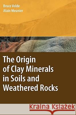 The Origin of Clay Minerals in Soils and Weathered Rocks