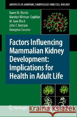 Factors Influencing Mammalian Kidney Development: Implications for Health in Adult Life