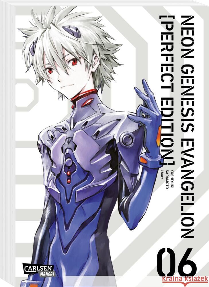 Neon Genesis Evangelion - Perfect Edition 6