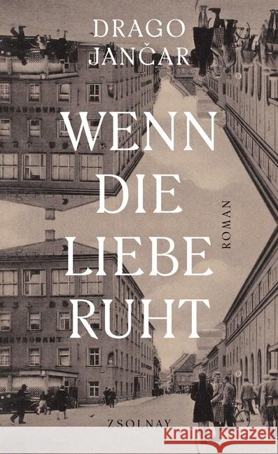 Wenn die Liebe ruht : Roman