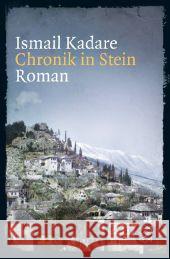 Chronik in Stein : Roman