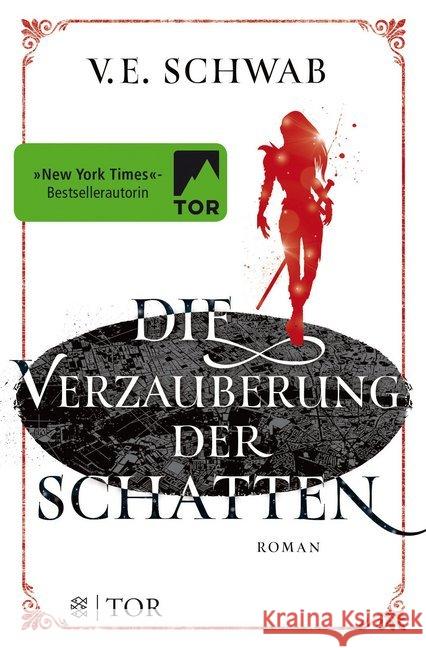 Die Verzauberung der Schatten : Roman