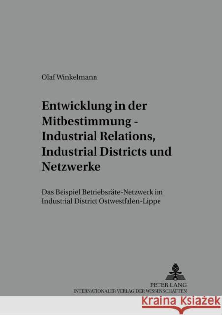 Entwicklung in Der Mitbestimmung - Industrial Relations, Industrial Districts Und Netzwerke: Das Beispiel Betriebsraete-Netzwerk Im Industrial Distric