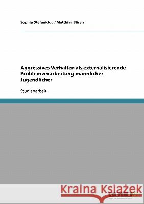 Aggressives Verhalten als externalisierende Problemverarbeitung männlicher Jugendlicher