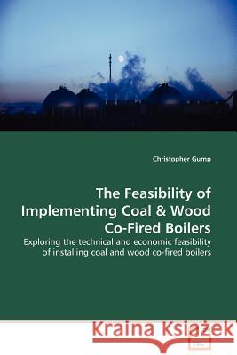 The Feasibility of Implementing Coal