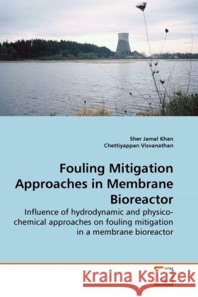 Fouling Mitigation Approaches in Membrane Bioreactor : Influence of hydrodynamic and physico-chemical approaches on fouling mitigation in a membrane bioreactor