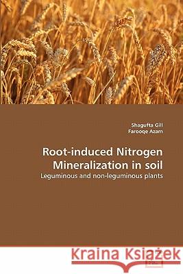 Root-induced Nitrogen Mineralization in soil