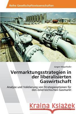 Vermarktungsstrategien in Der Liberalisierten Gaswirtschaft
