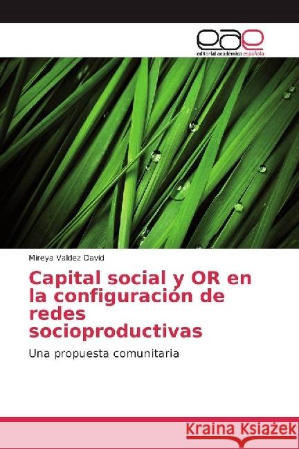 Capital social y OR en la configuración de redes socioproductivas : Una propuesta comunitaria