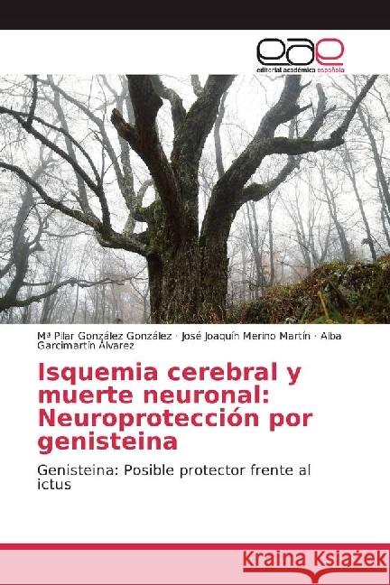 Isquemia cerebral y muerte neuronal: Neuroprotección por genisteina : Genisteina: Posible protector frente al ictus