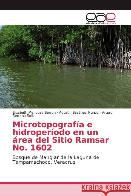 Microtopografía e hidroperíodo en un área del Sitio Ramsar No. 1602 : Bosque de Manglar de la Laguna de Tampamachoco, Veracruz