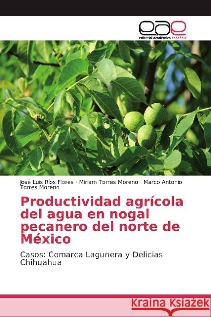 Productividad agrícola del agua en nogal pecanero del norte de México : Casos: Comarca Lagunera y Delicias Chihuahua