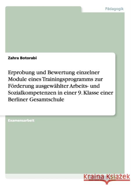 Erprobung und Bewertung einzelner Module eines Trainingsprogramms zur Förderung ausgewählter Arbeits- und Sozialkompetenzen in einer 9. Klasse einer B