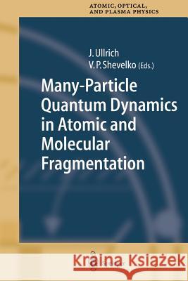 Many-Particle Quantum Dynamics in Atomic and Molecular Fragmentation