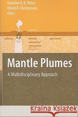 Mantle Plumes: A Multidisciplinary Approach