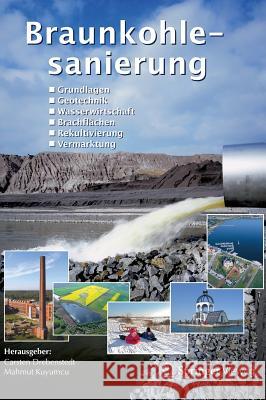 Braunkohlesanierung: Grundlagen, Geotechnik, Wasserwirtschaft, Brachflächen, Rekultivierung, Vermarktung