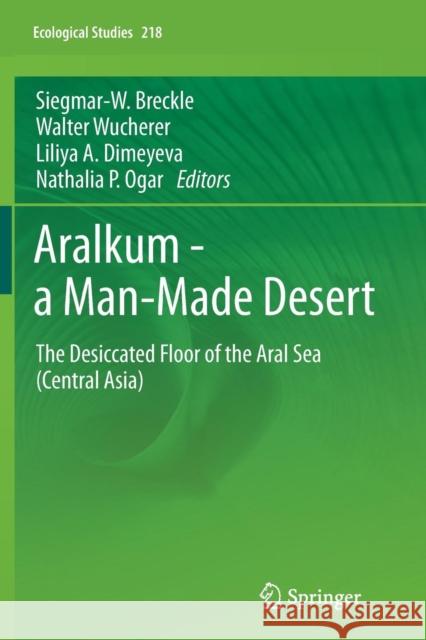 Aralkum - A Man-Made Desert: The Desiccated Floor of the Aral Sea (Central Asia)