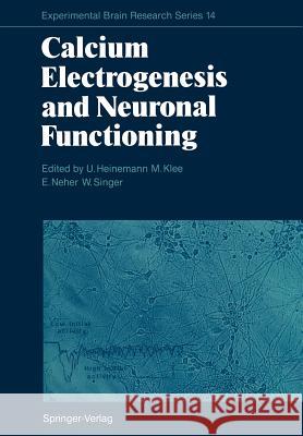 Calcium Electrogenesis and Neuronal Functioning