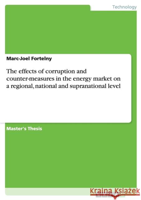 The effects of corruption and counter-measures in the energy market on a regional, national and supranational level