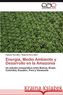 Energia, Medio Ambiente y Desarrollo En La Amazonia