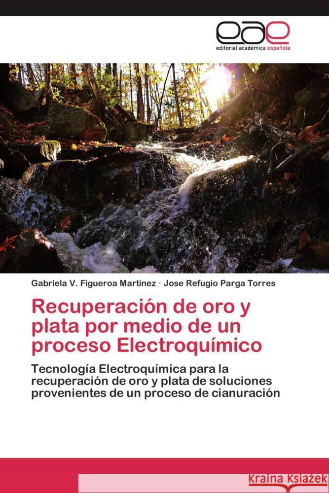 Recuperación de oro y plata por medio de un proceso Electroquímico : Tecnología Electroquímica para la recuperación de oro y plata de soluciones provenientes de un proceso de cianuración