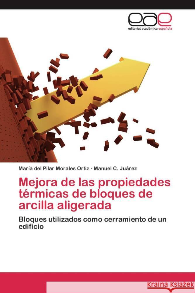 Mejora de las propiedades térmicas de bloques de arcilla aligerada : Bloques utilizados como cerramiento de un edificio