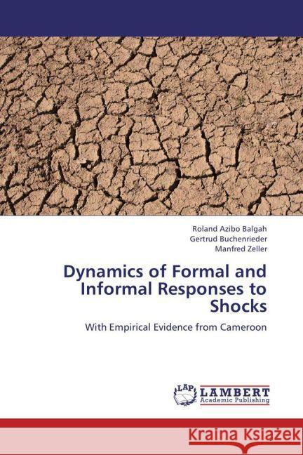 Dynamics of Formal and Informal Responses to Shocks : With Empirical Evidence from Cameroon