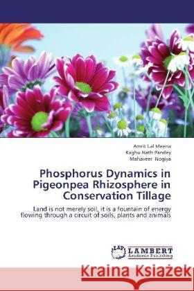 Phosphorus Dynamics in Pigeonpea Rhizosphere in Conservation Tillage : Land is not merely soil, it is a fountain of energy flowing through a circuit of soils, plants and animals