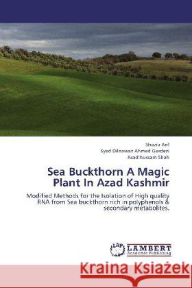 Sea Buckthorn A Magic Plant In Azad Kashmir : Modified Methods for the Isolation of High quality RNA from Sea buckthorn rich in polyphenols & secondary metabolites.