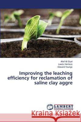 Improving the leaching efficiency for reclamation of saline clay aggre