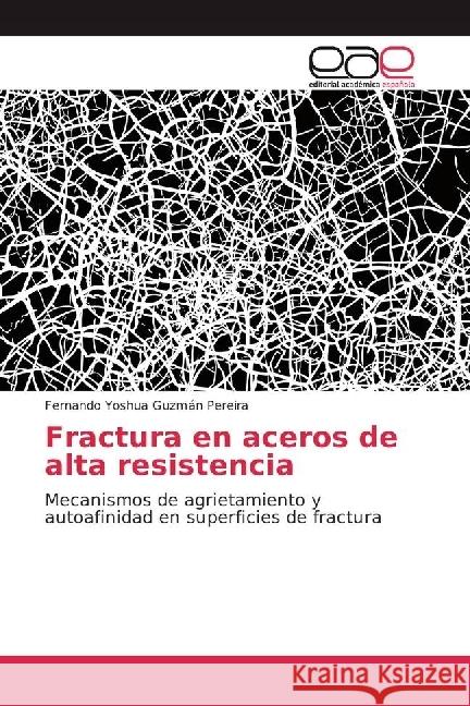 Fractura en aceros de alta resistencia : Mecanismos de agrietamiento y autoafinidad en superficies de fractura