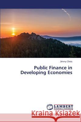 Public Finance in Developing Economies