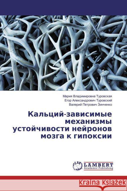 Kal'cij-zavisimye mehanizmy ustojchivosti nejronov mozga k gipoxii