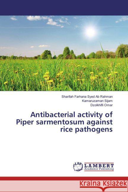 Antibacterial activity of Piper sarmentosum against rice pathogens