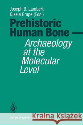 Prehistoric Human Bone: Archaeology at the Molecular Level