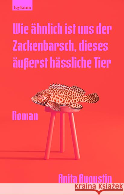 Wie ähnlich ist uns der Zackenbarsch, dieses äußerst hässliche Tier