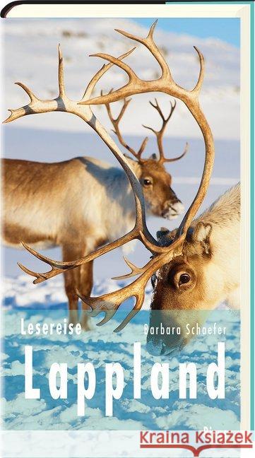 Lesereise Lappland : Nordlicht, Joik und Rentierschlitten