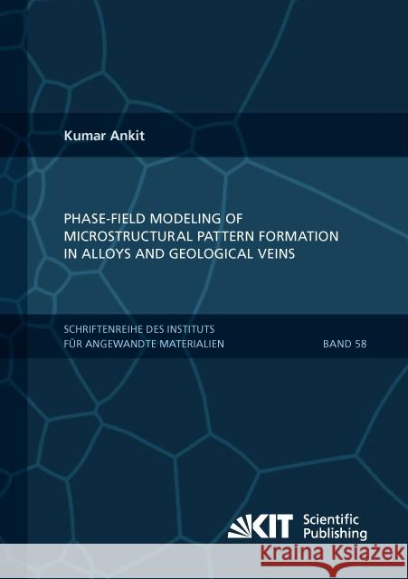 Phase-field modeling of microstructural pattern formation in alloys and geological veins : Dissertationsschrift