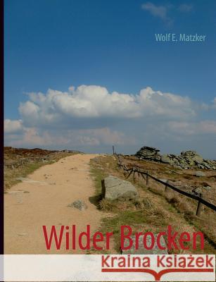 Wilder Brocken: Deutschlands heiliger Berg der Dichter, Maler und Naturverehrer