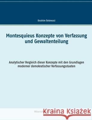 Montesquieus Konzepte von Verfassung und Gewaltenteilung: Analytischer Vergleich dieser Konzepte mit den Grundlagen moderner demokratischer Verfassung
