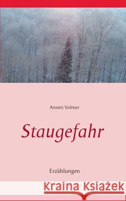 Staugefahr: Erzählungen