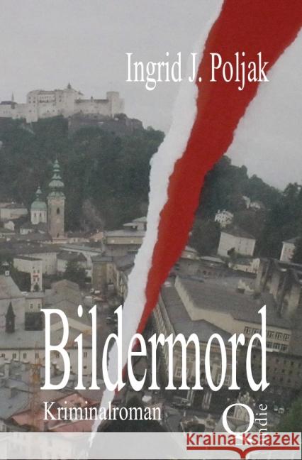 Bildermord : Künstler-Krimi