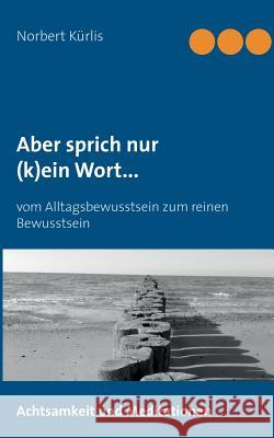 Aber sprich nur (k)ein Wort...: Vom Alltagsbewusstsein zum reinen Bewusstsein