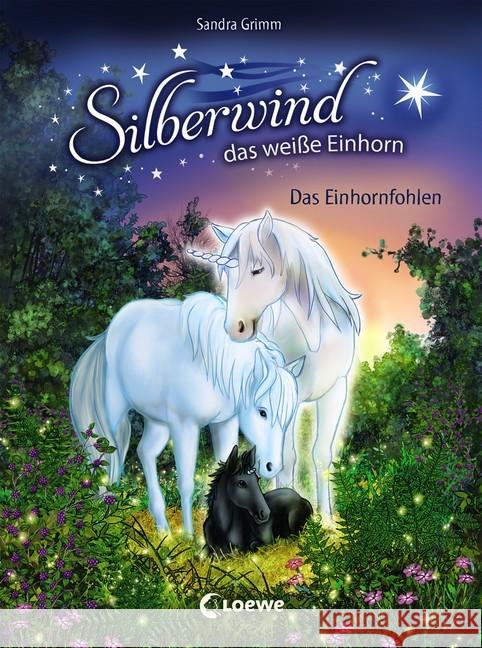 Silberwind, das weiße Einhorn - Das Einhornfohlen