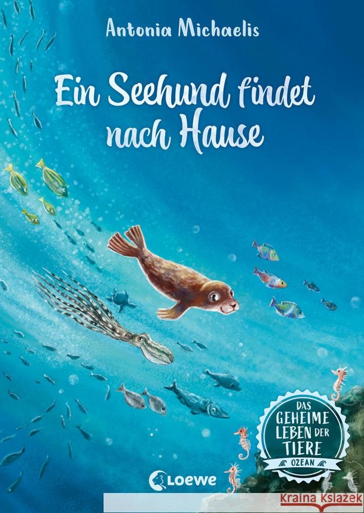 Das geheime Leben der Tiere (Ozean, Band 4) - Ein Seehund findet nach Hause